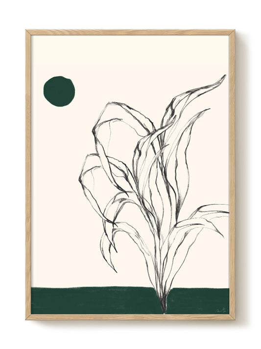 Anna Mörner - Dagg – modern wall art print, Falcozi Studio