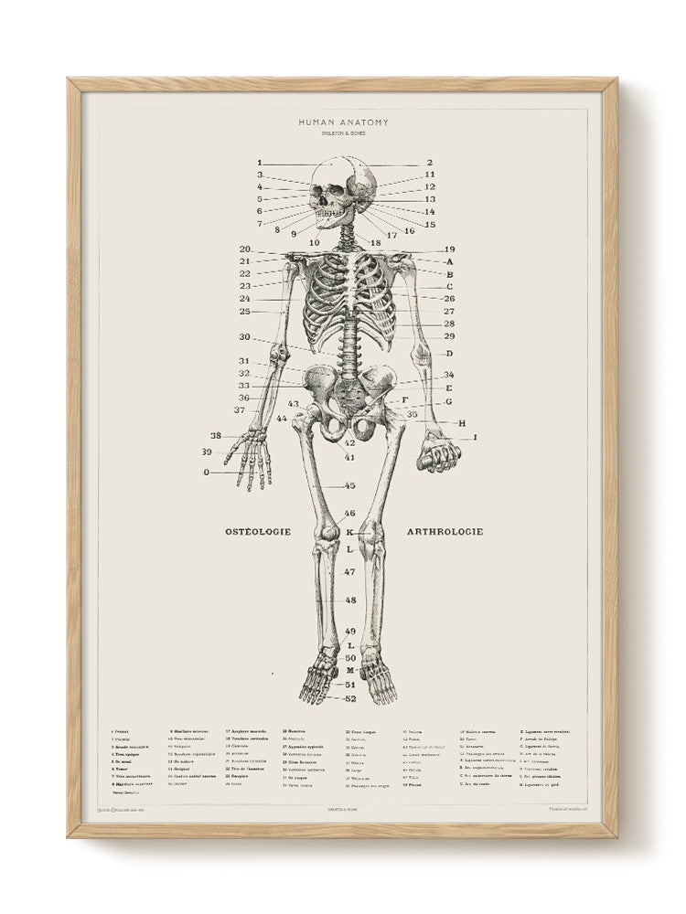 vintage portrait portrait Poster