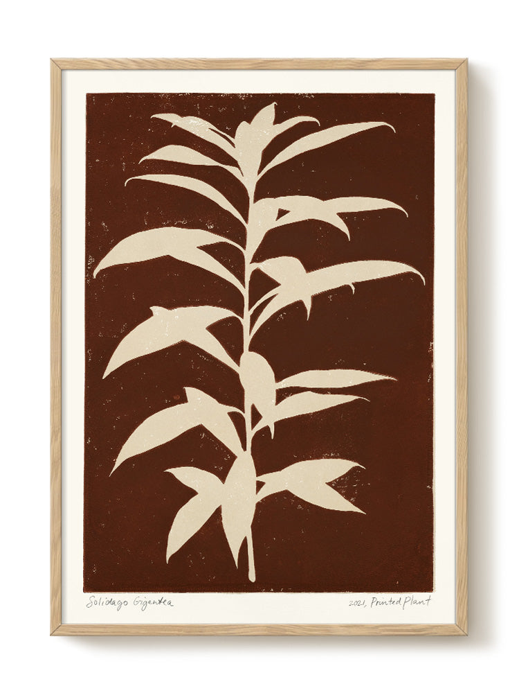 abstract portrait portrait black Poster