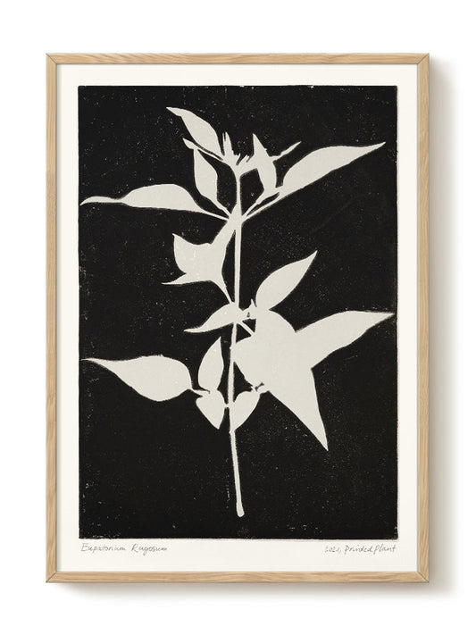 abstract portrait portrait black Poster