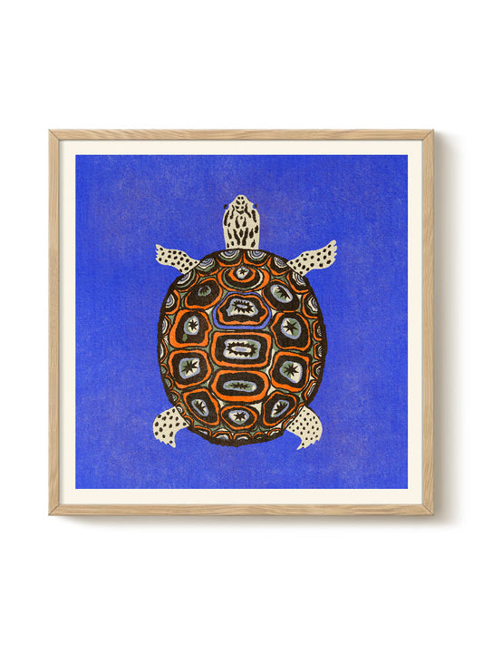 Enikő Eged - Turtle Blue – modern wall art print, Falcozi Studio