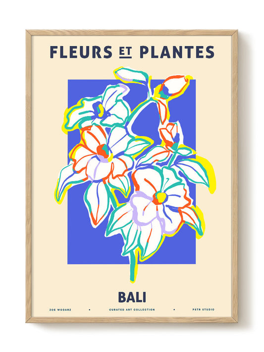 Zoe - Fleurs et Plantes - Bali – modern wall art print, Falcozi Studio