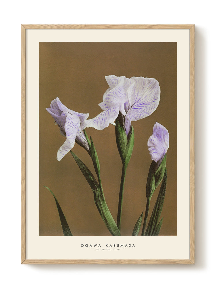 minimalist portrait portrait Poster