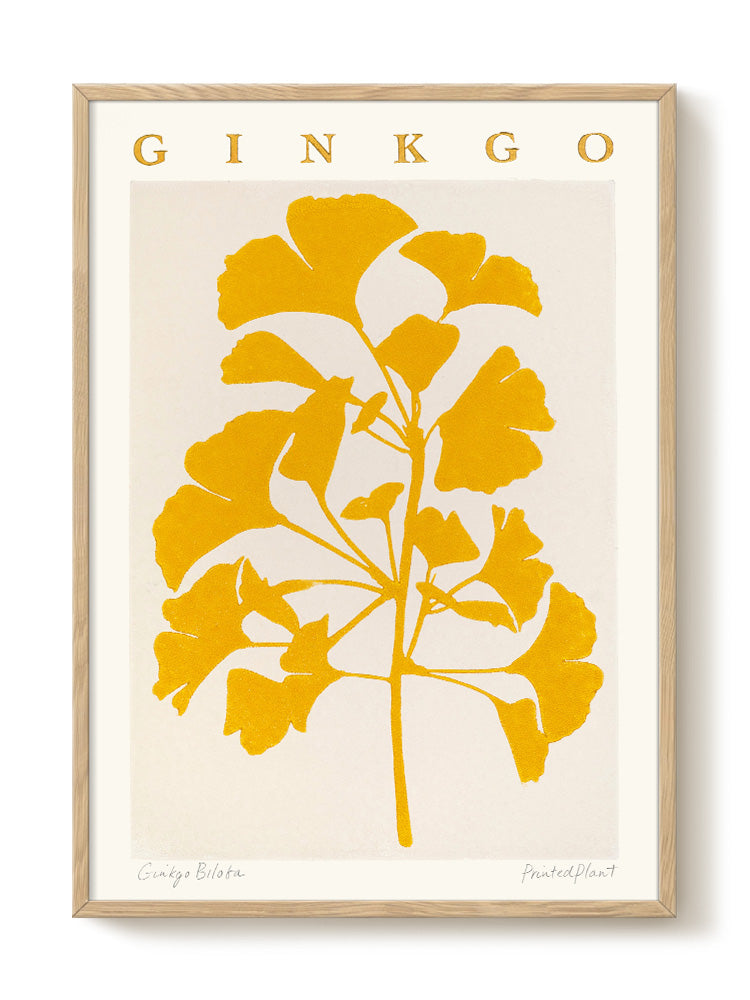 abstract portrait portrait black Poster