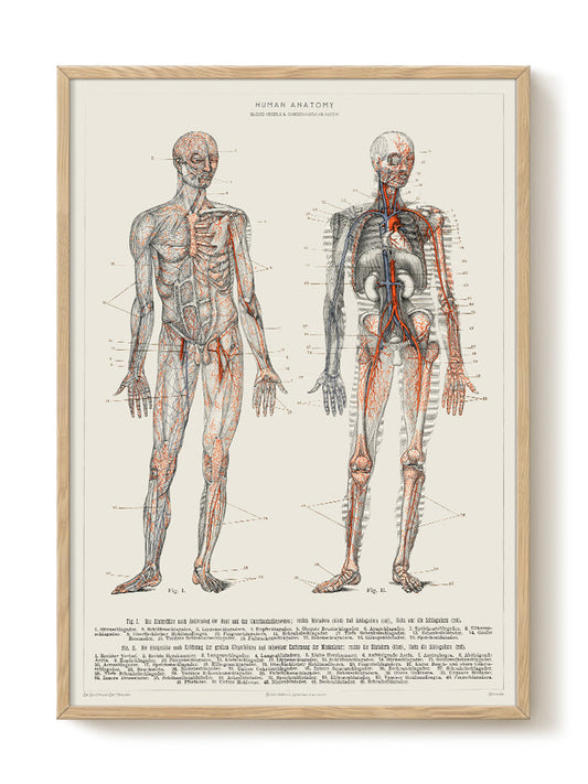 vintage portrait portrait Poster