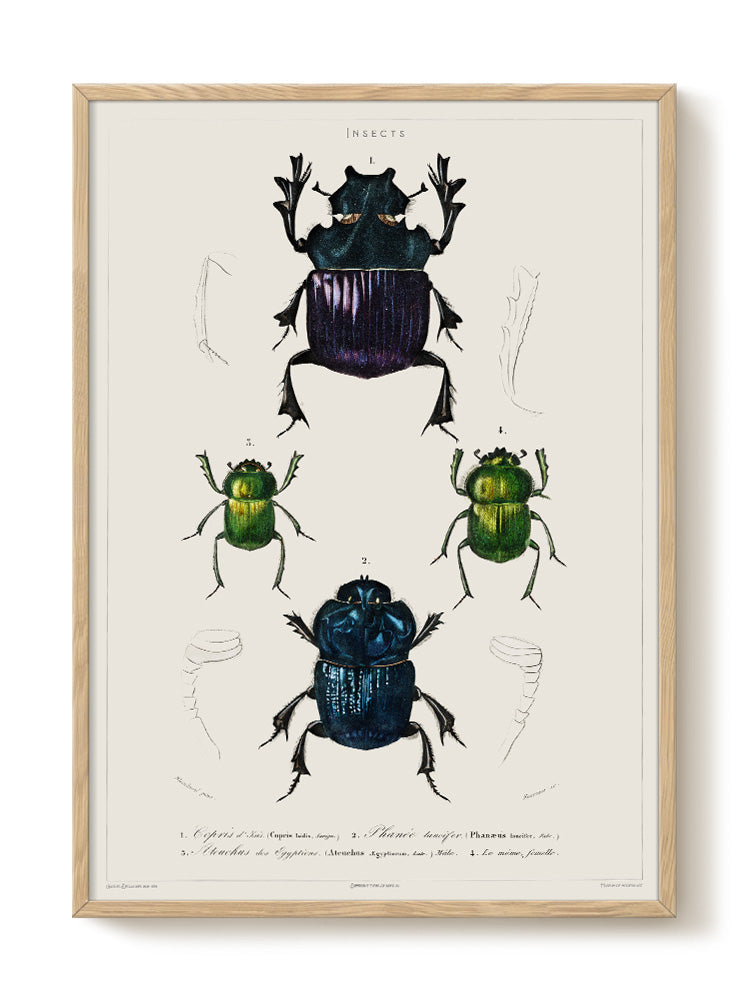 vintage portrait portrait Poster