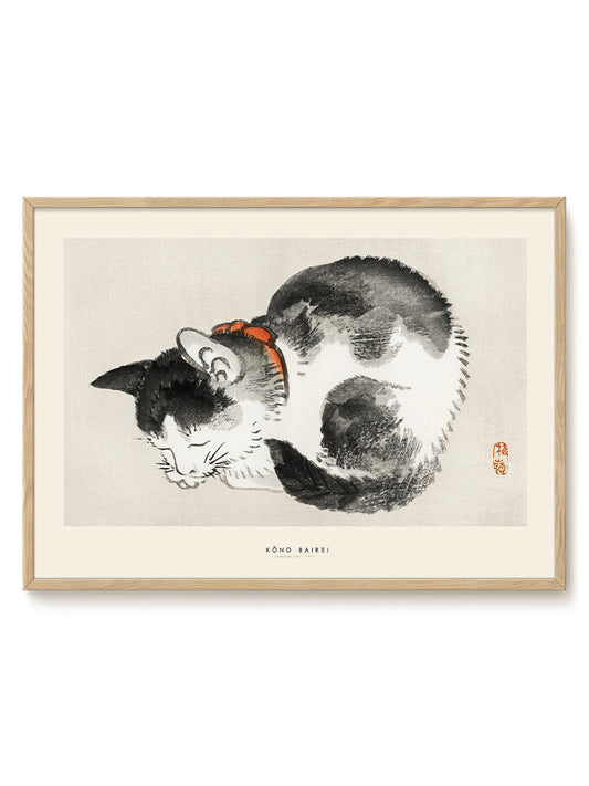 Kōno Bairei - Sleeping cat – modern wall art print, Falcozi Studio