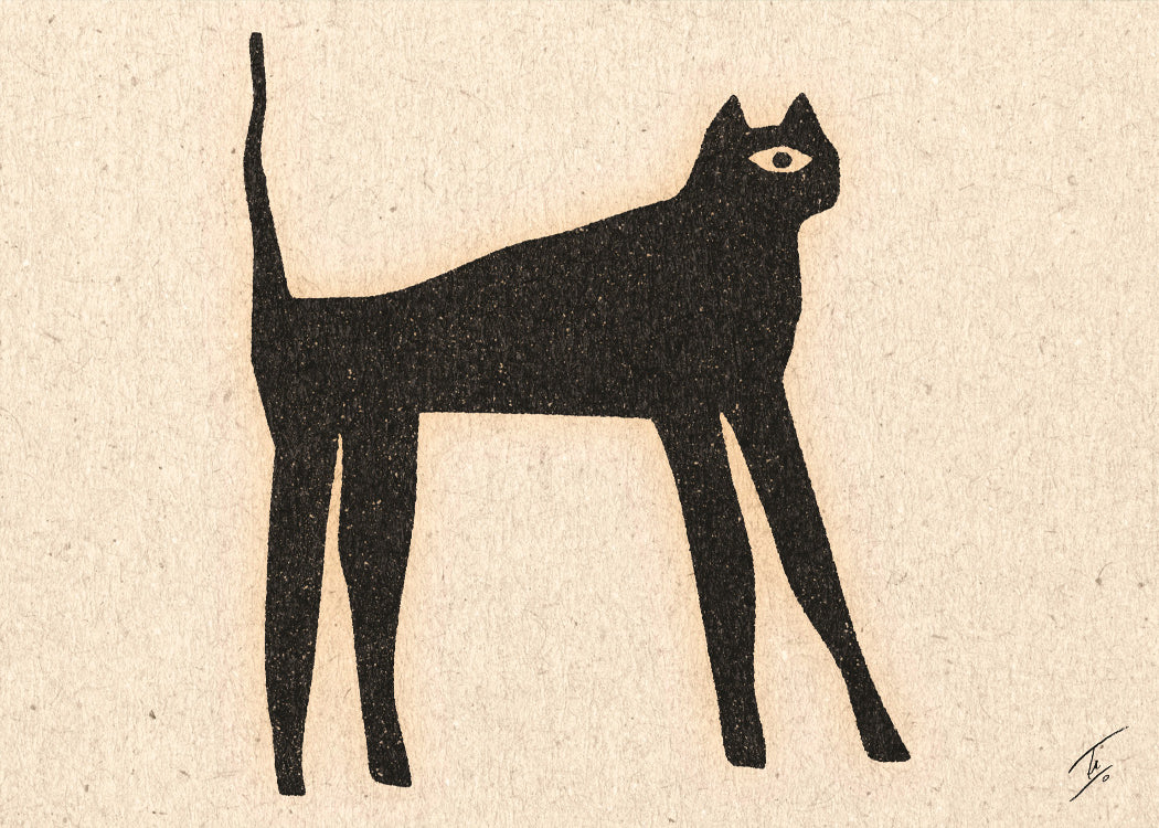 David Schmitt - The Cat