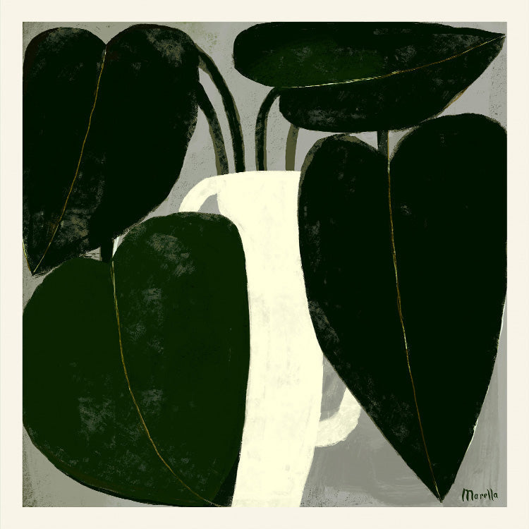 Marco - Plant IIII